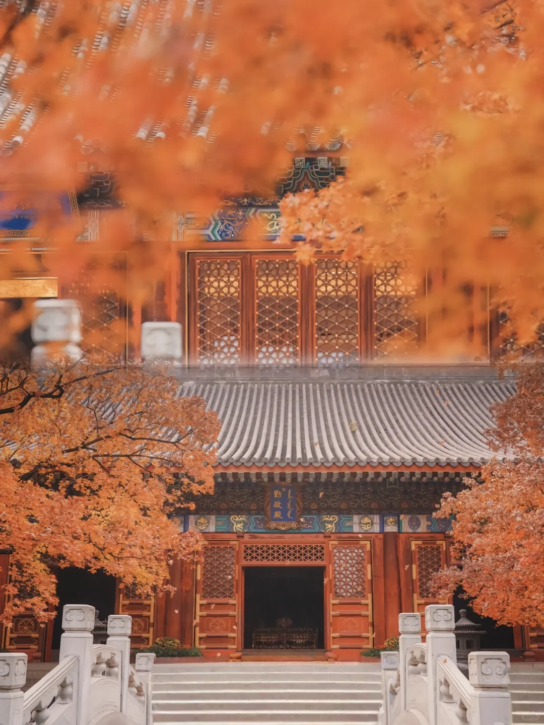 当秋风起🍂北京就变成了北平(附打卡点)