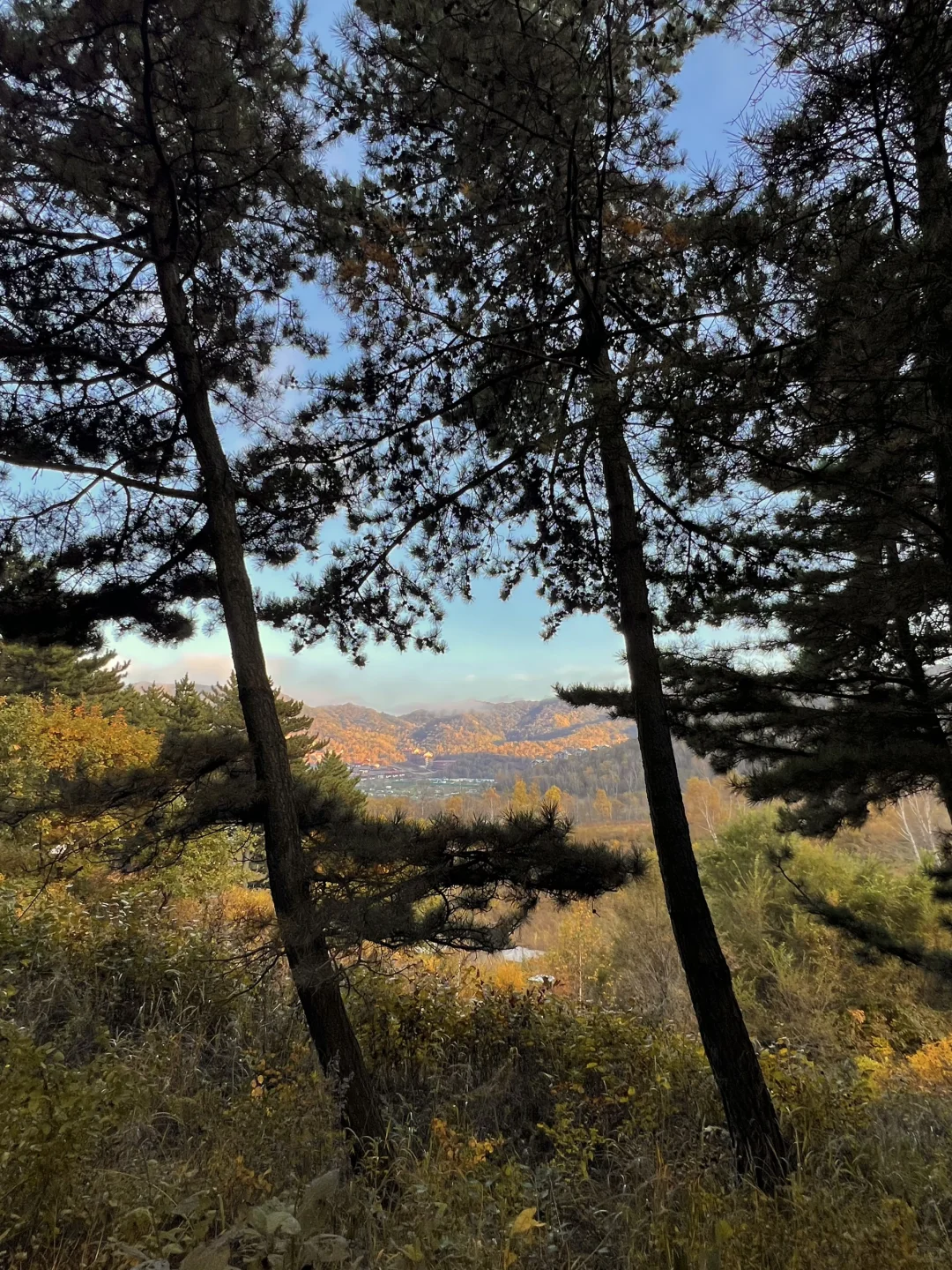 这么近那么美！！河北才叫美！！