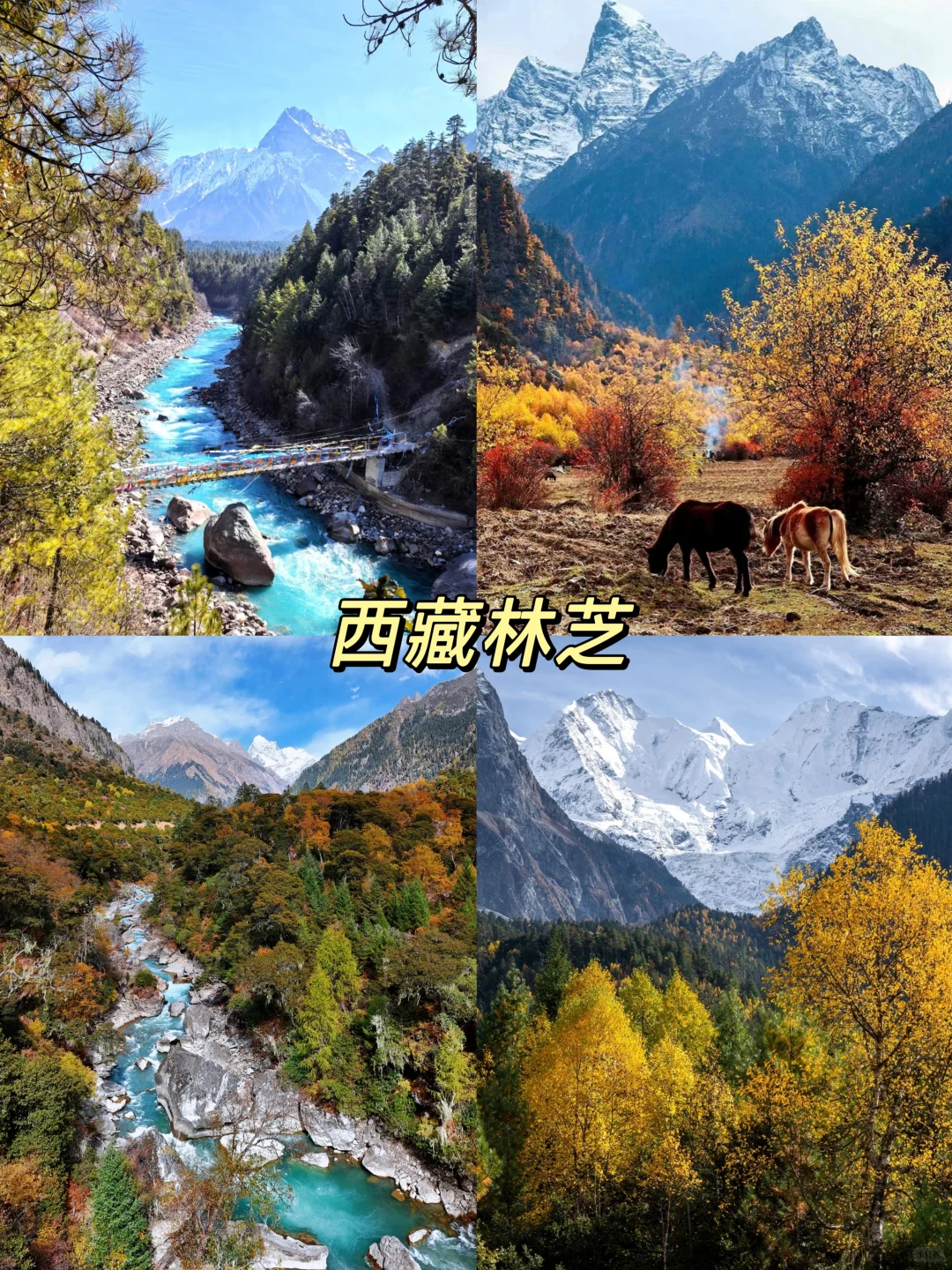 国内秋天必去8大旅游地攻略！