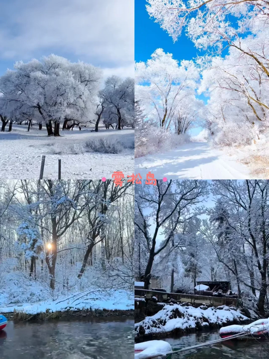 🇲🇾南方小土豆的快乐追雪日记❄️