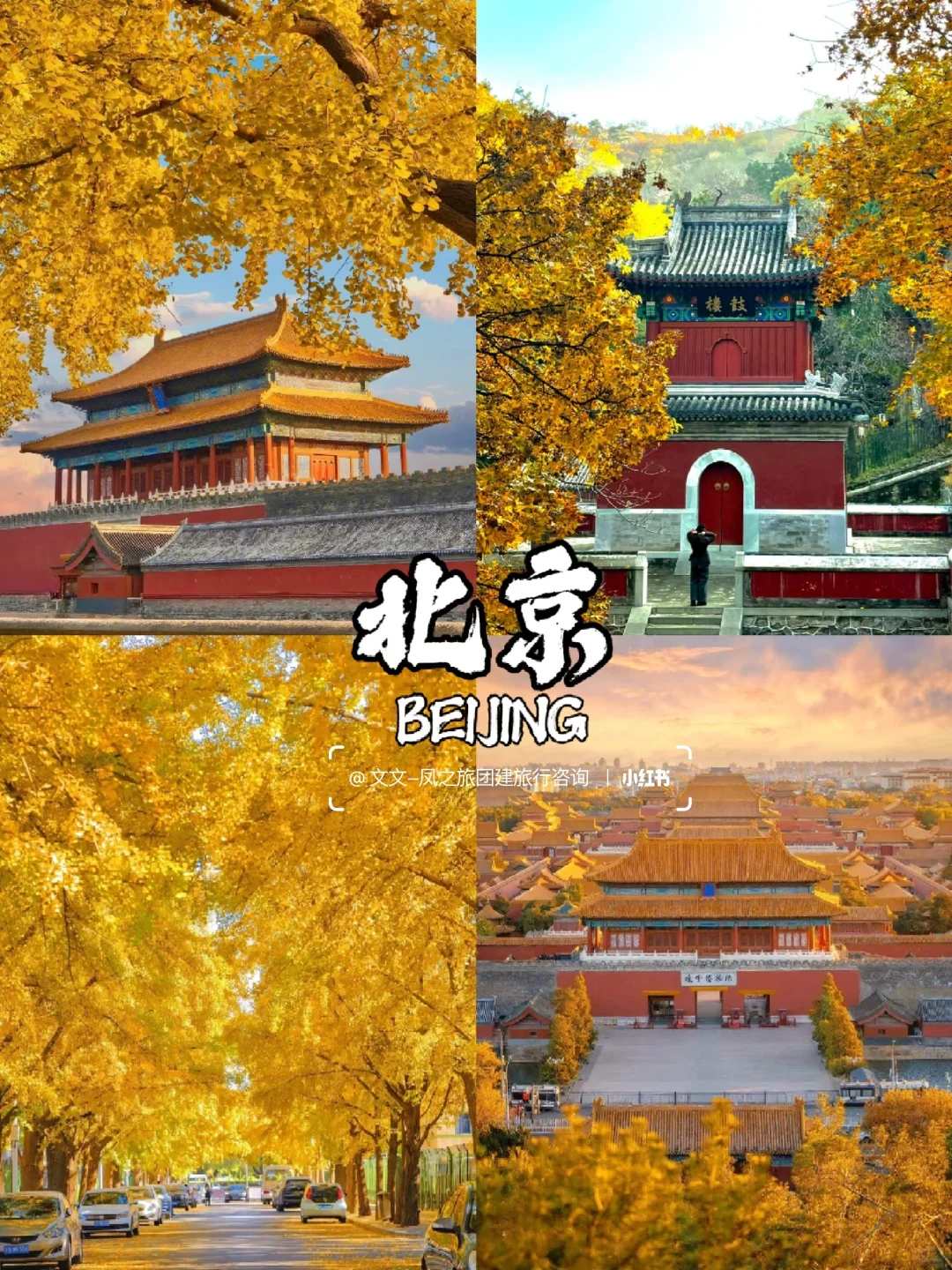 10-12月国内9个赏秋宝藏地🍂美到窒息~