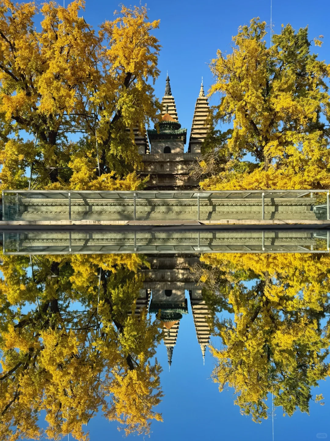 🍁一定要来北京感受一次老舍笔下的北平之秋