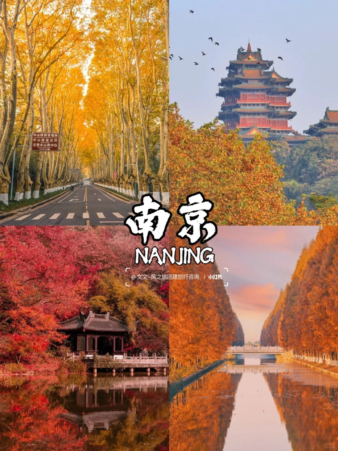 10-12月国内9个赏秋宝藏地🍂美到窒息~