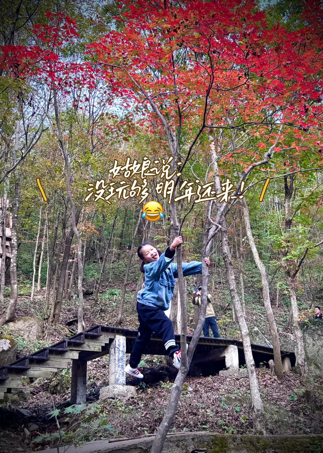 北京出发，这万山火红才是秋日绝色