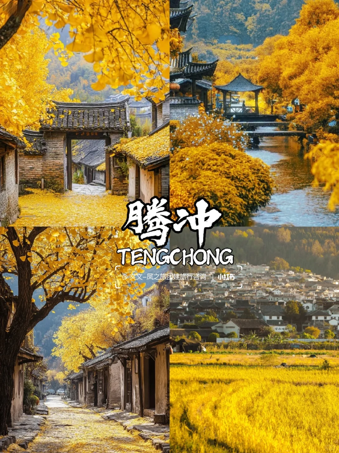 10-12月国内9个赏秋宝藏地🍂美到窒息~