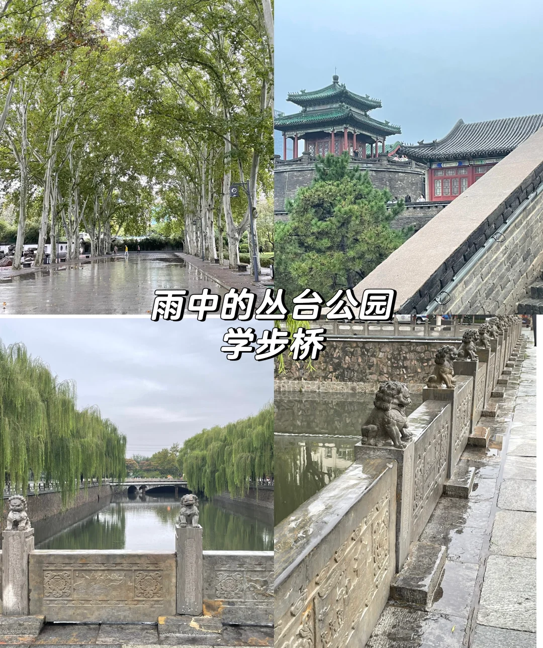 90后带父母邯郸两天一夜游（攻略版）📮