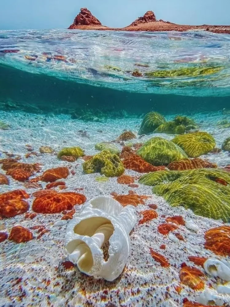 索科特拉群岛：地球上的外星世界