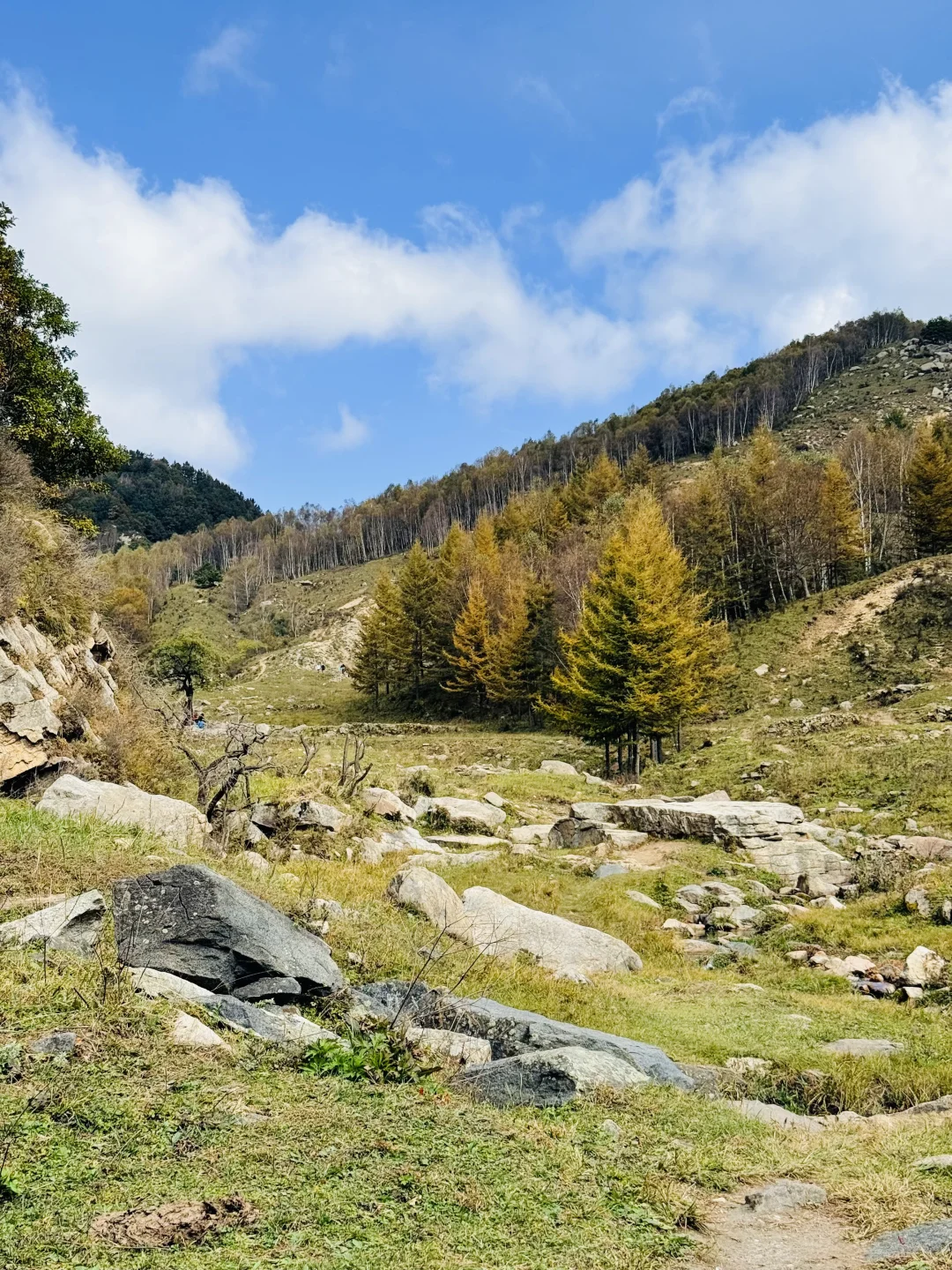 10.2石家庄阿勒泰杀疯了