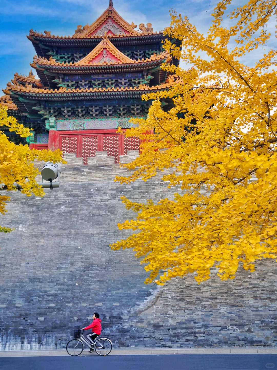 🍁一定要来北京感受一次老舍笔下的北平之秋