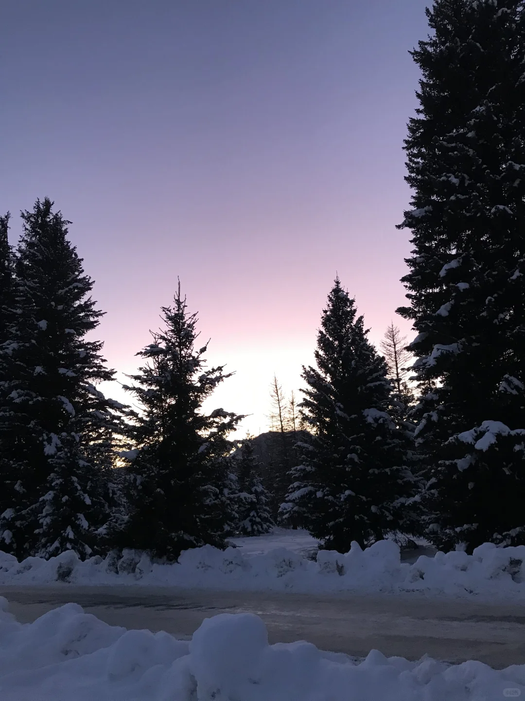 我的冬季阿勒泰自由行攻略！！！❄️