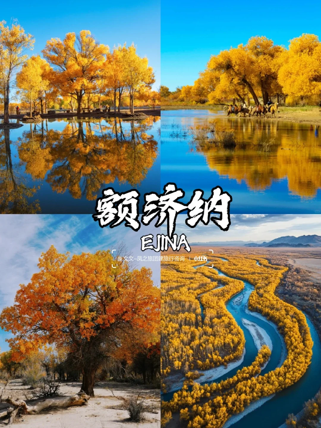 10-12月国内9个赏秋宝藏地🍂美到窒息~