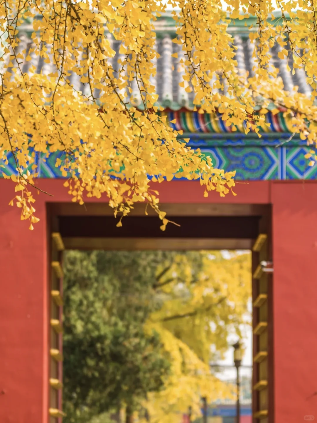 当秋风起🍂北京就变成了北平(附打卡点)