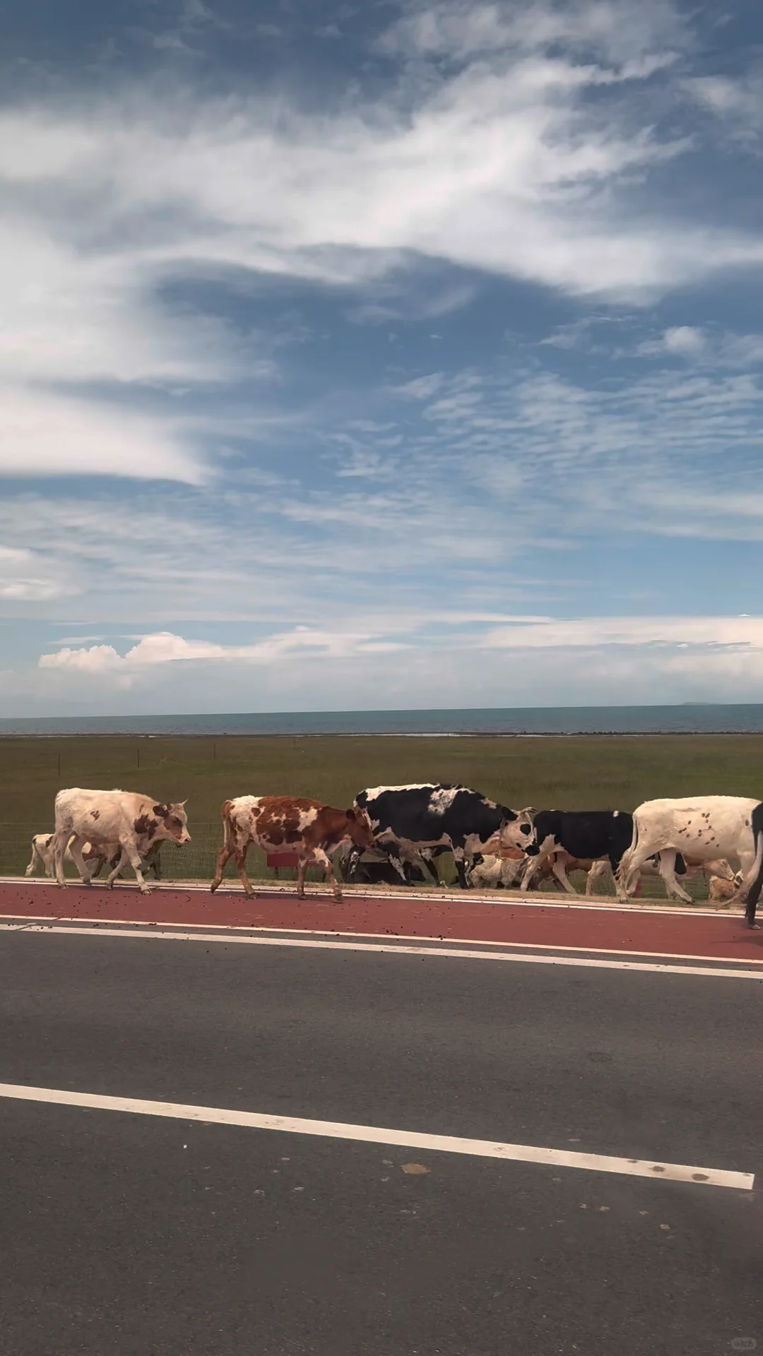 人生一定要去一趟青海