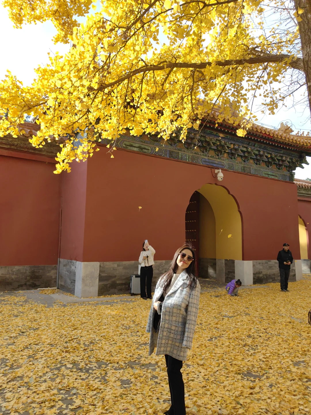 跟风成功!北京赏秋打卡地详细路线