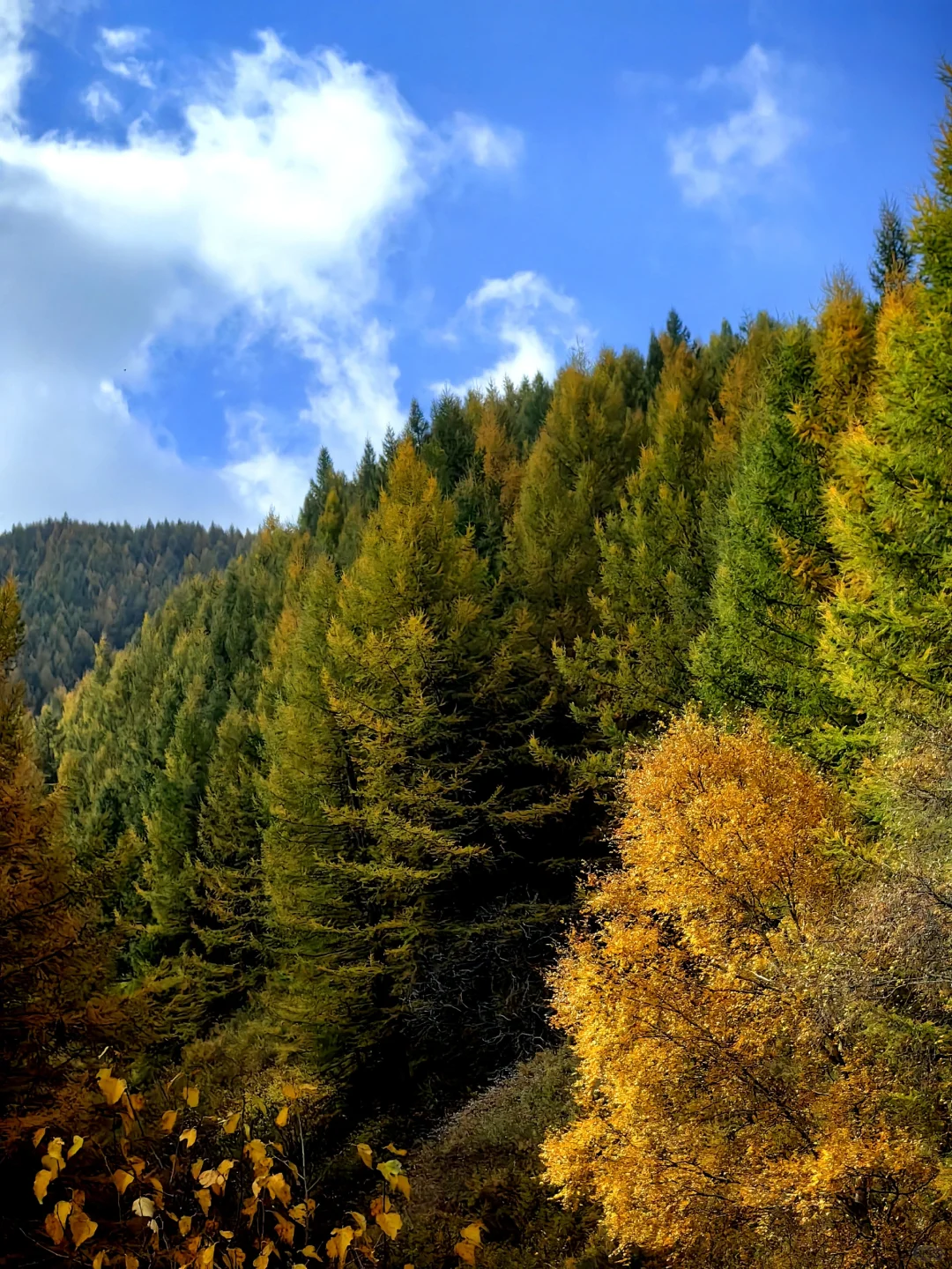 📍乌兰察布·苏木山森林公园