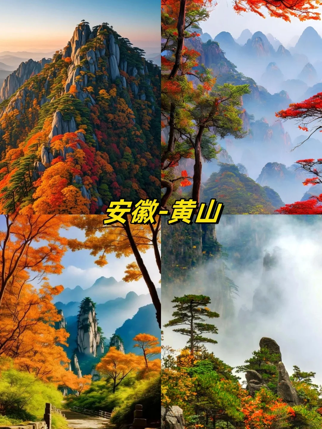 🍁国内秋日限定！13 个赏秋目的地大汇总