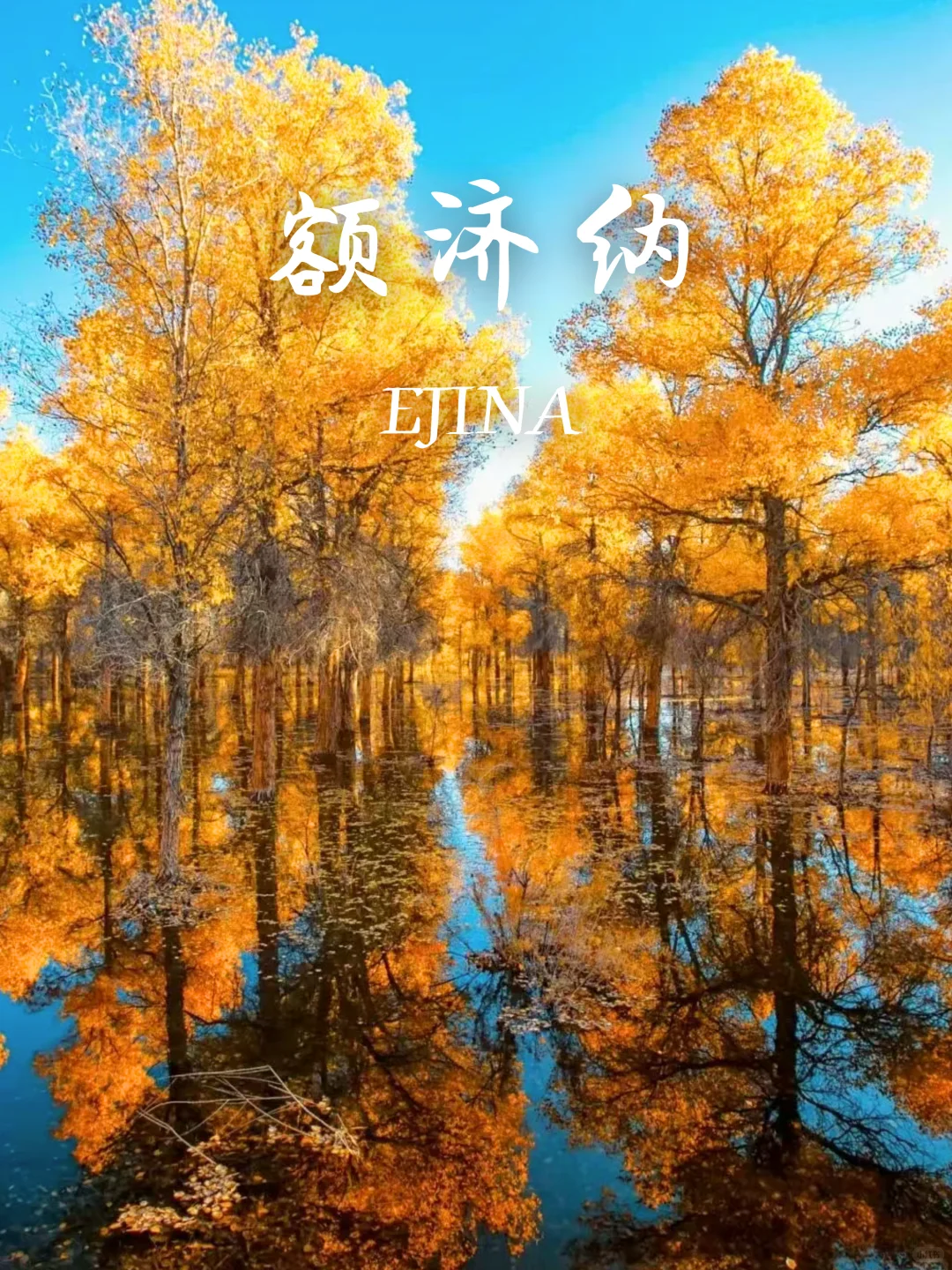 9-11月国内赏秋没有平替‼️个个都是天花板