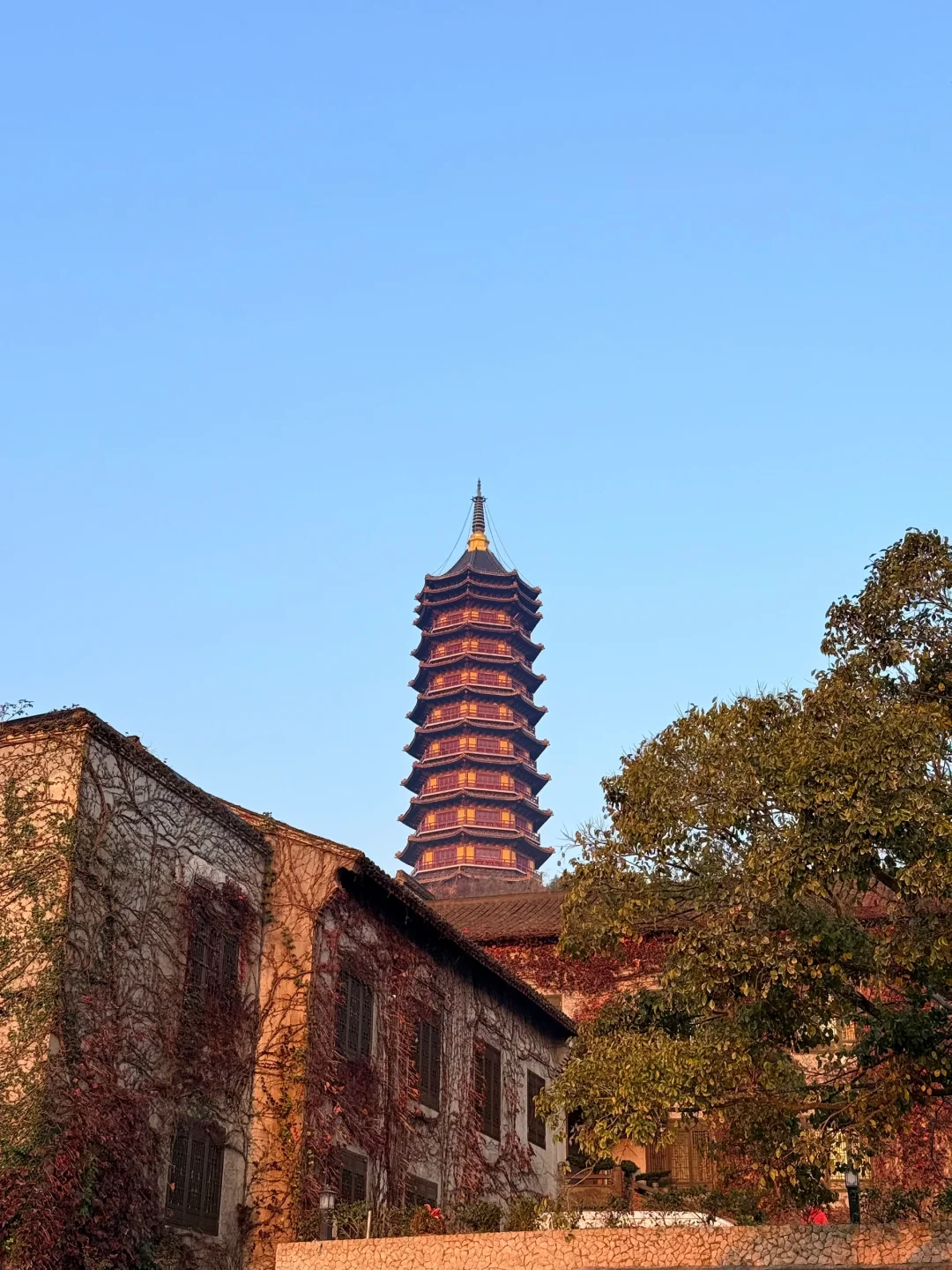 🌟 普陀山:一个人的朝圣之旅