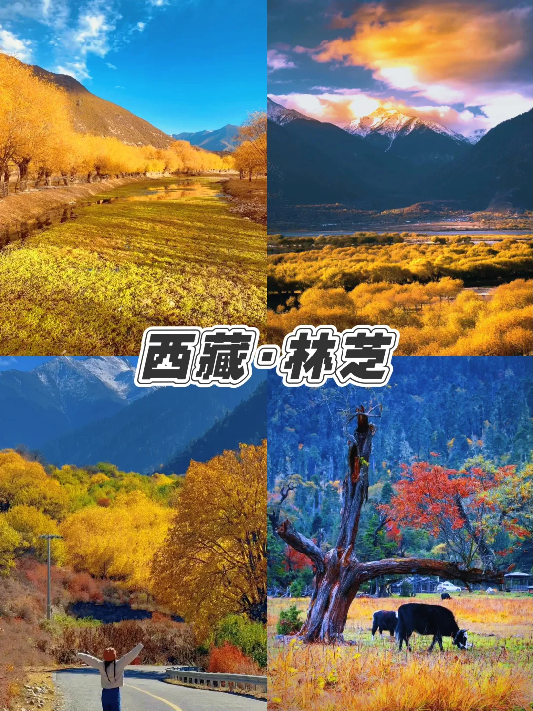 🍁9-12月必打卡城市，美到窒息，错过等一年！