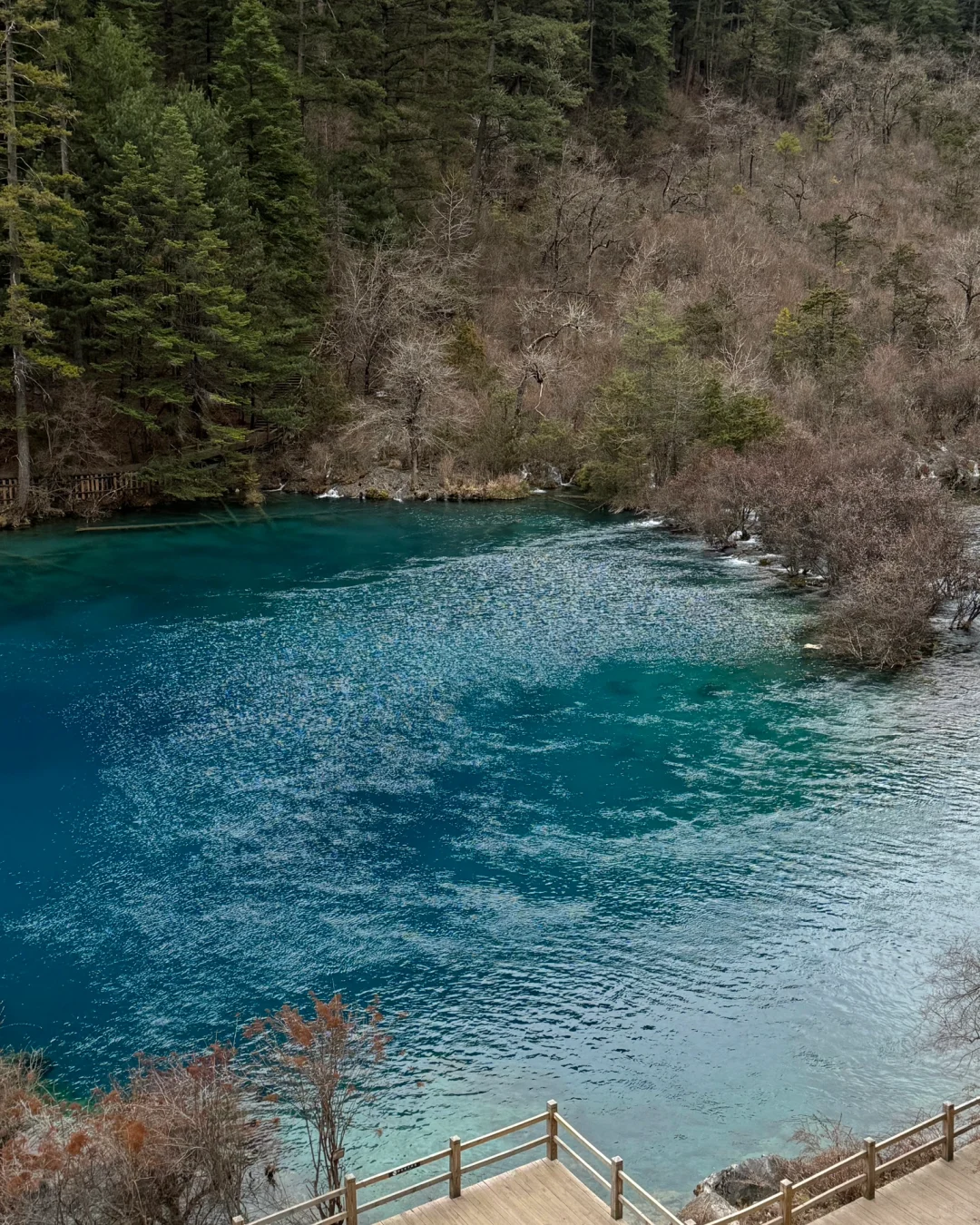 🇲🇾🇨🇳无滤镜的九寨沟 传说中的人间仙境