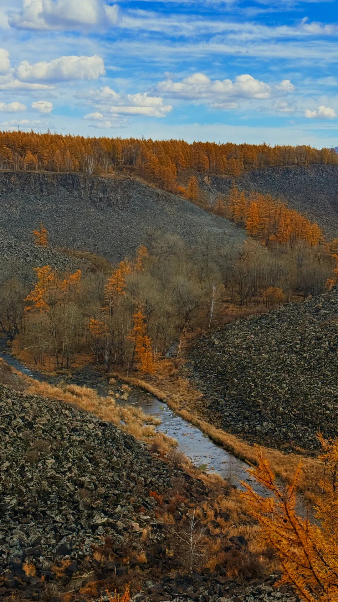 用18张live 打开大兴安岭的秋