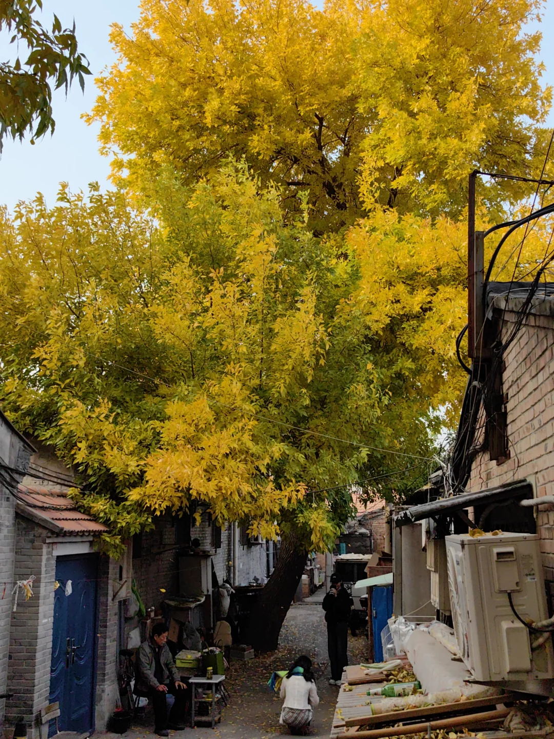 跟风成功!北京赏秋打卡地详细路线