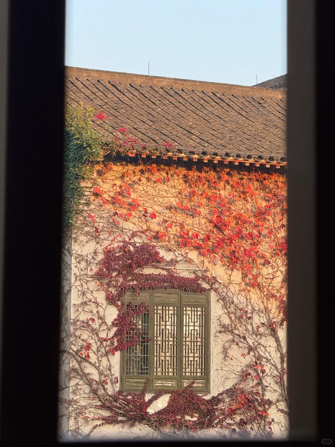 🌟 普陀山:一个人的朝圣之旅