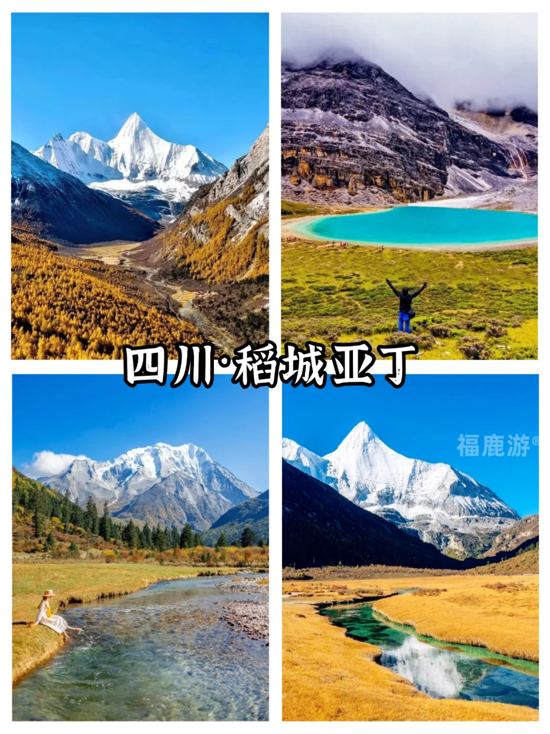全国10-12月赏秋保姆级攻略|收藏这篇就够了