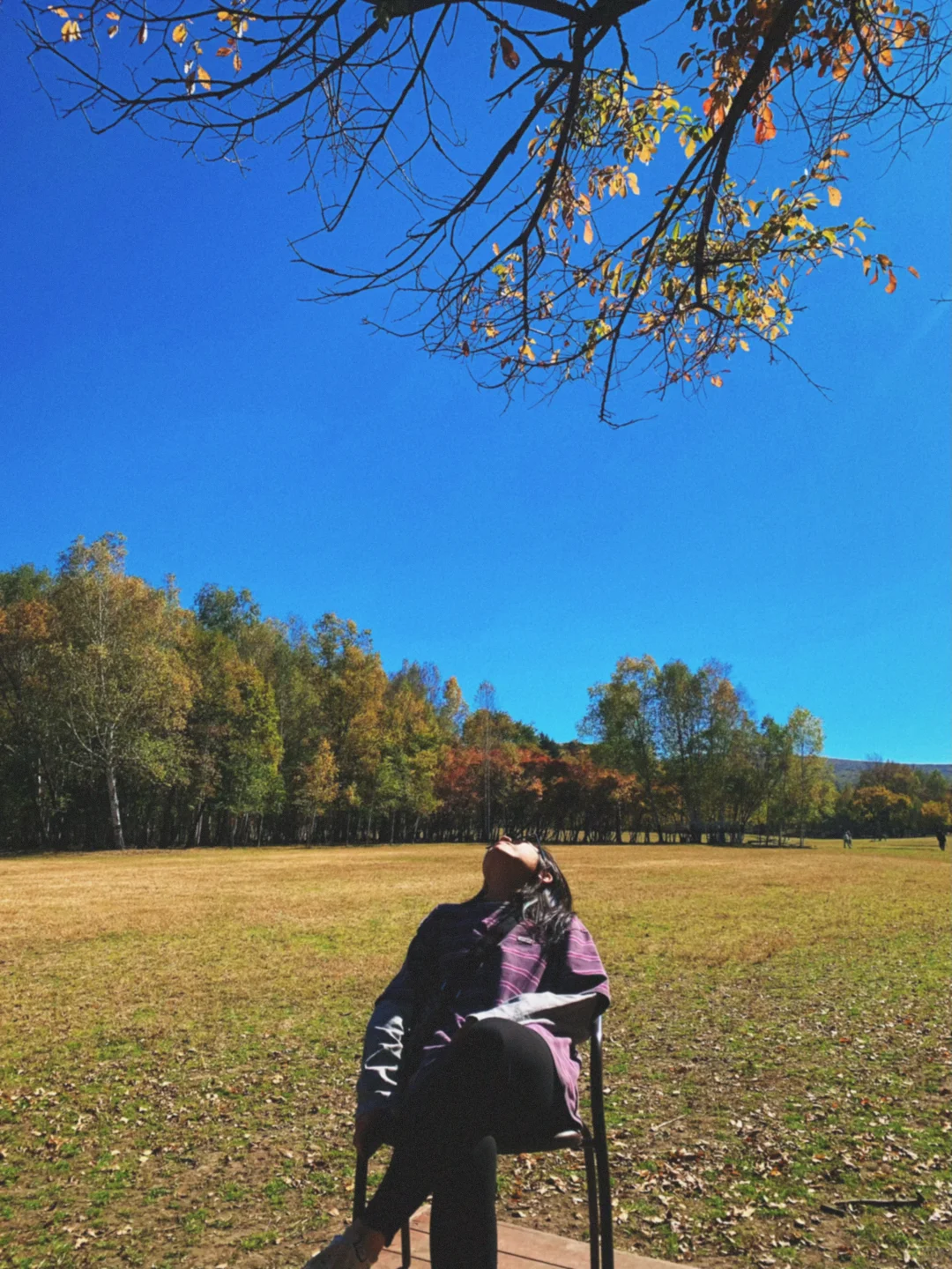 伊春追秋🍂 溪水国家森林公园 金山鹿苑🦌