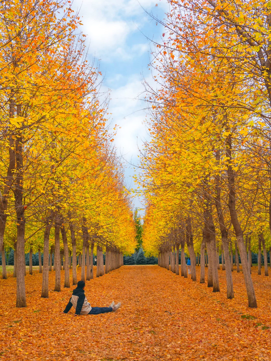 10.12实况，京郊2h🚗秋天必须去的宝藏秘境🍁