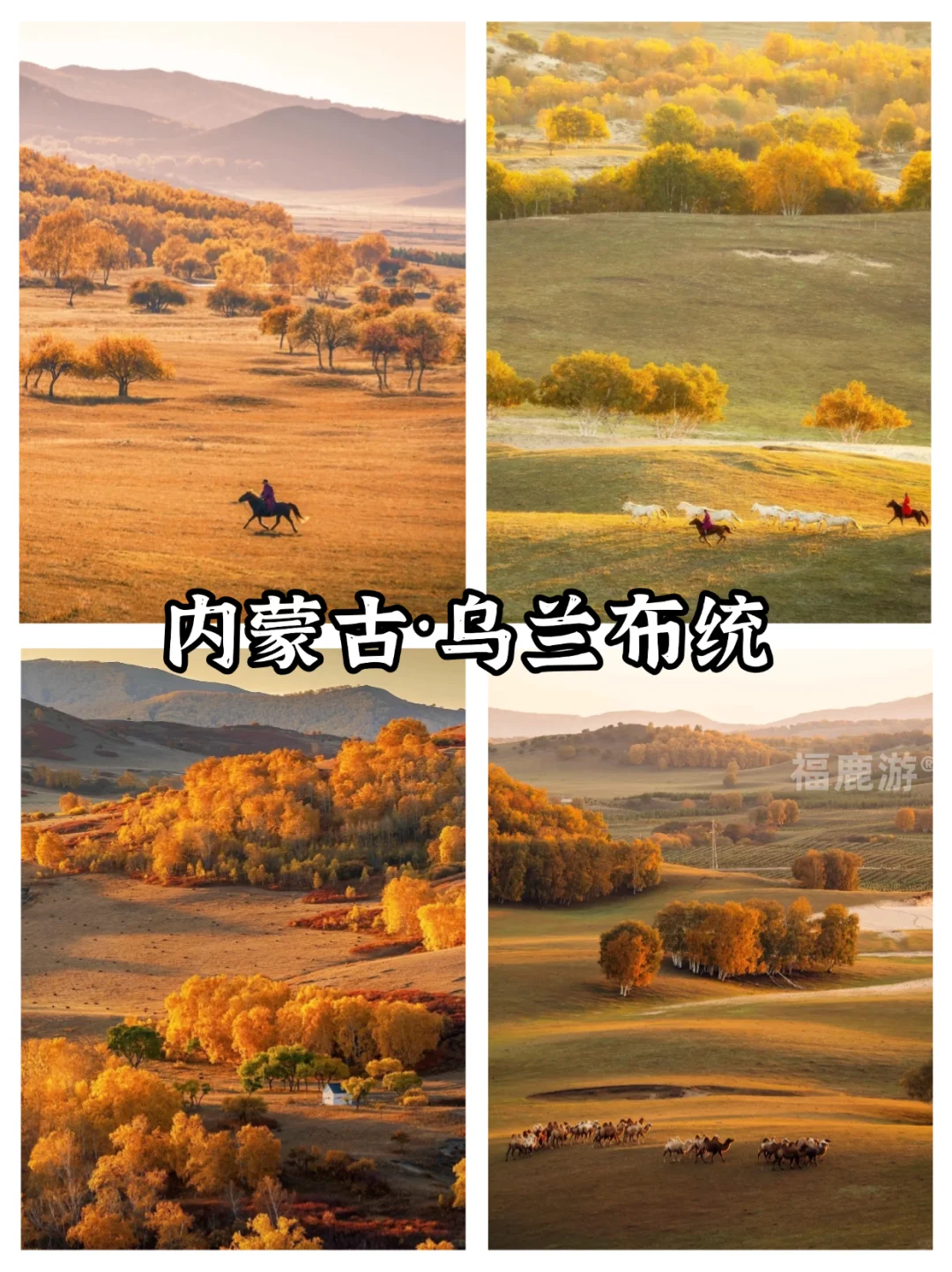 全国10-12月赏秋保姆级攻略|收藏这篇就够了
