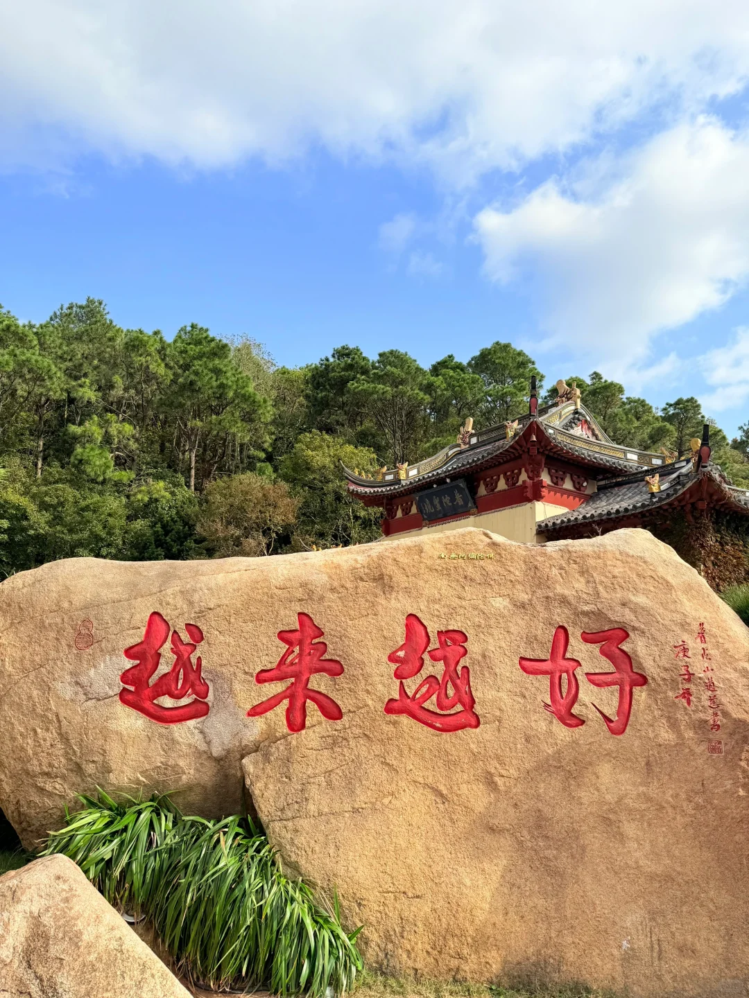 🌟 普陀山:一个人的朝圣之旅