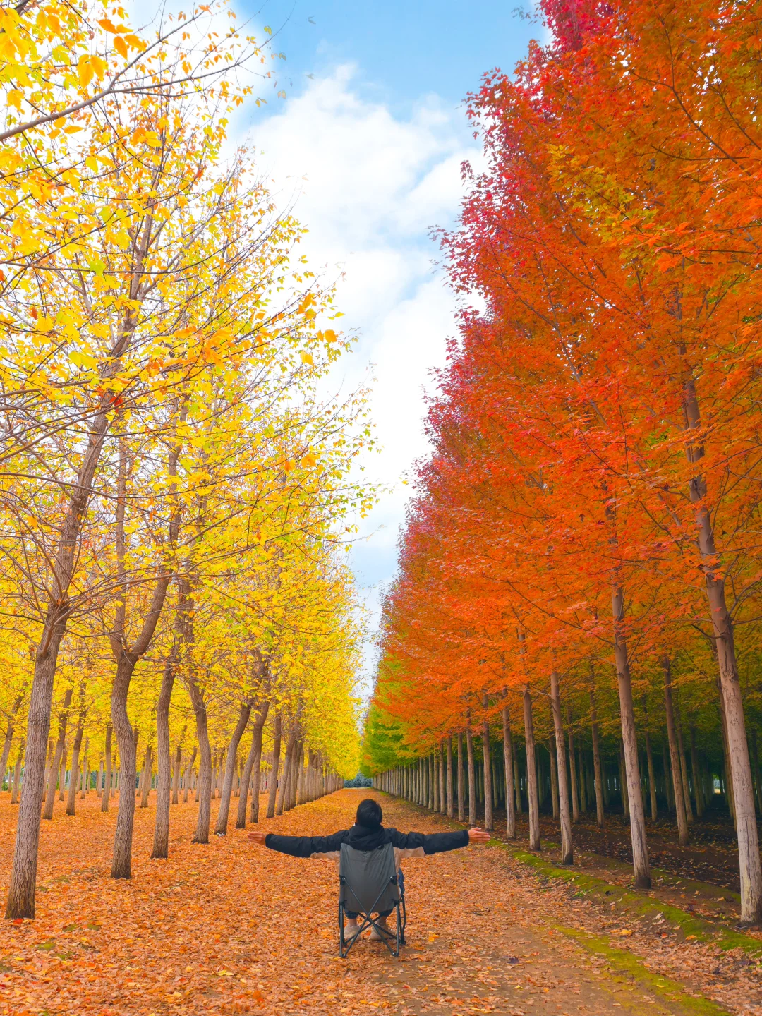 10.12实况，京郊2h🚗秋天必须去的宝藏秘境🍁