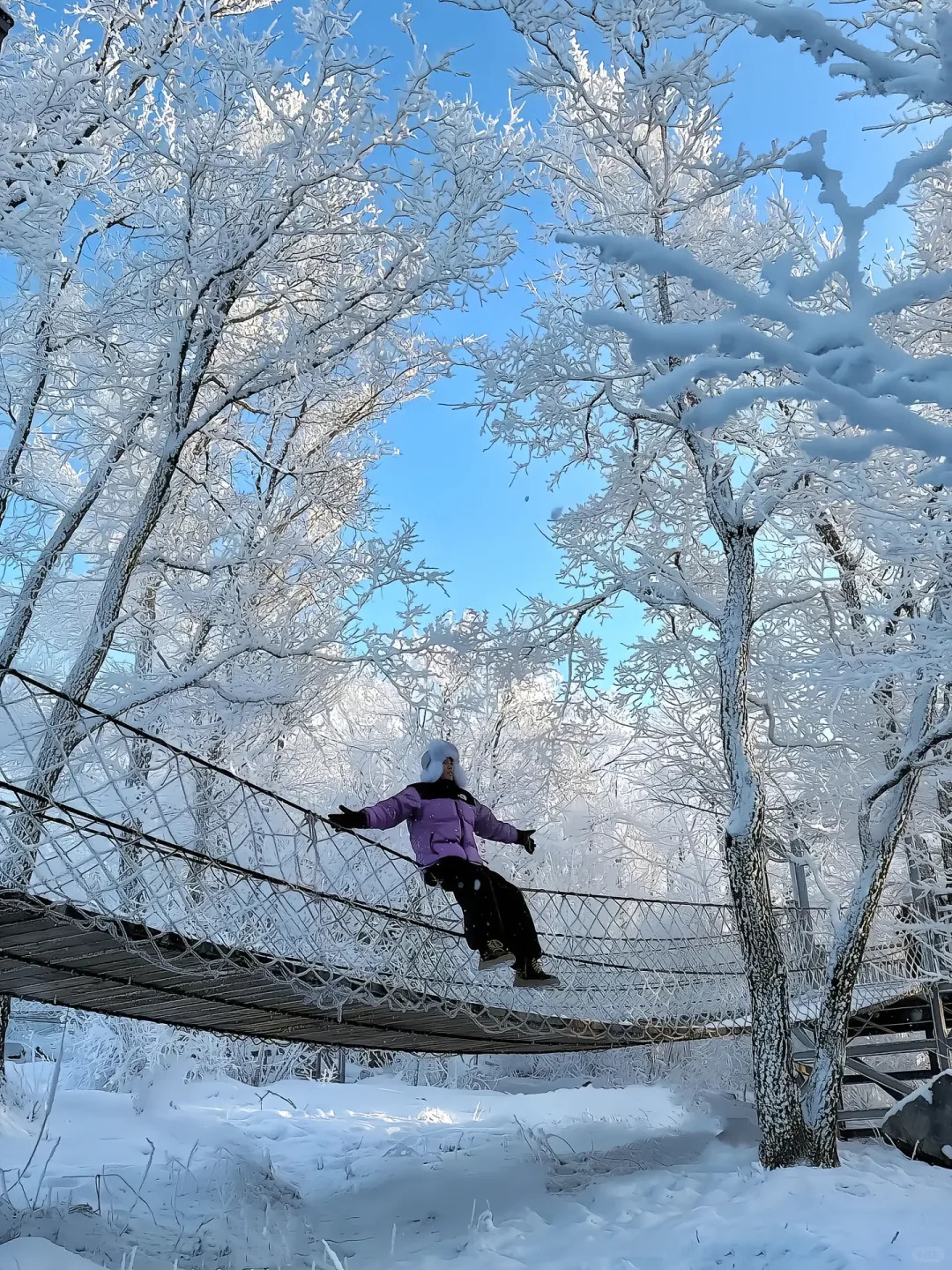 国内唯一能看到极光的地方