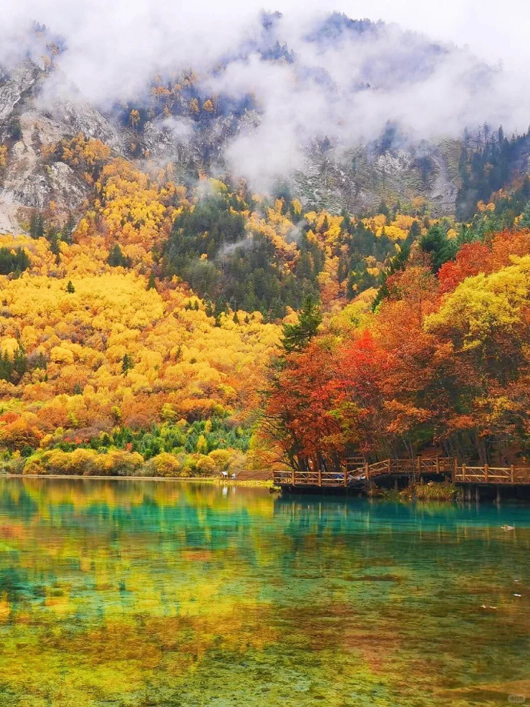 10.14📍九寨沟现状崩溃！能劝一个是一个