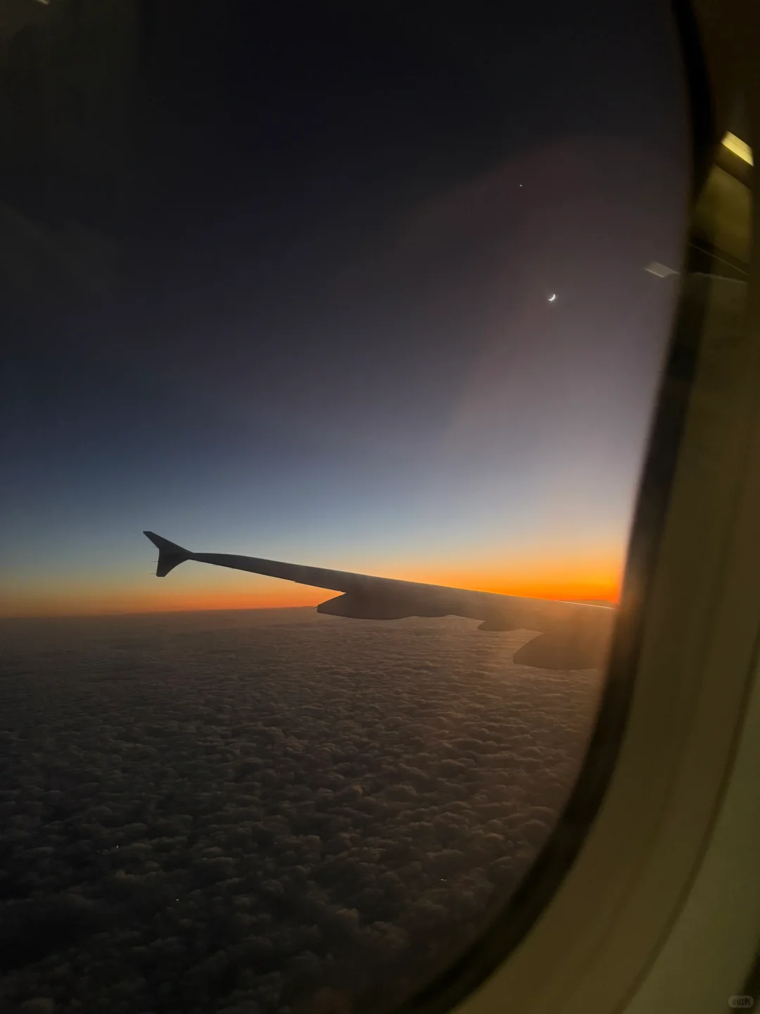 🌟 普陀山:一个人的朝圣之旅