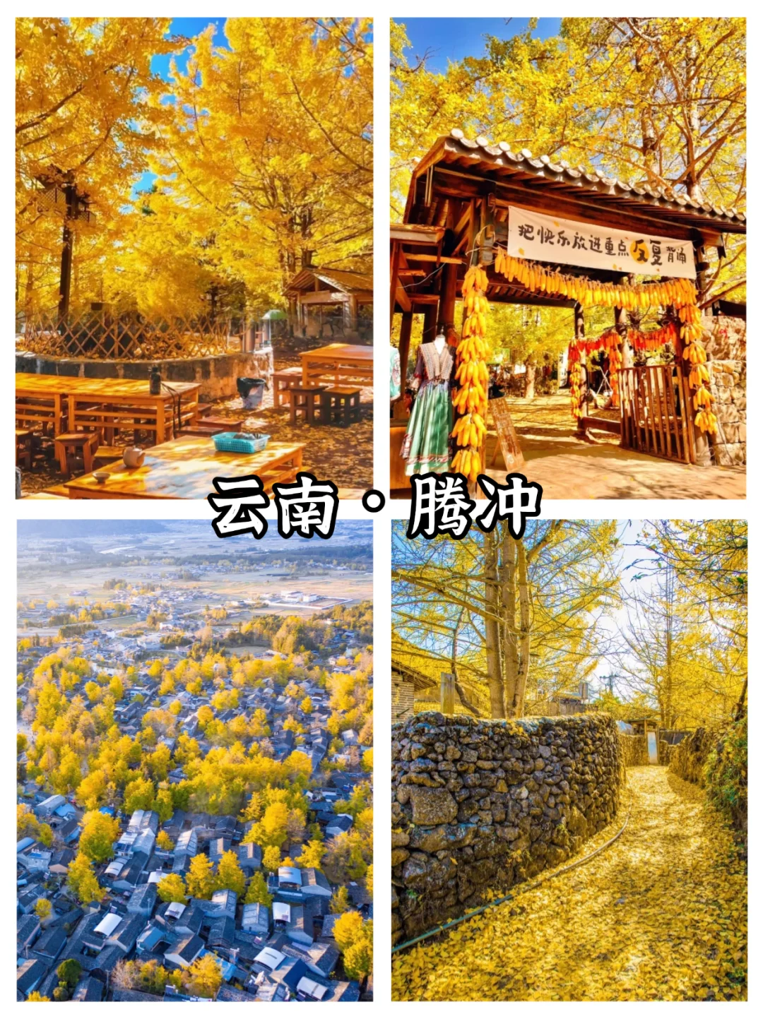 全国10-12月赏秋保姆级攻略|收藏这篇就够了