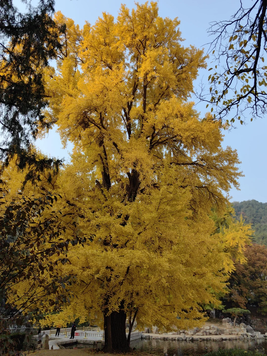 跟风成功!北京赏秋打卡地详细路线