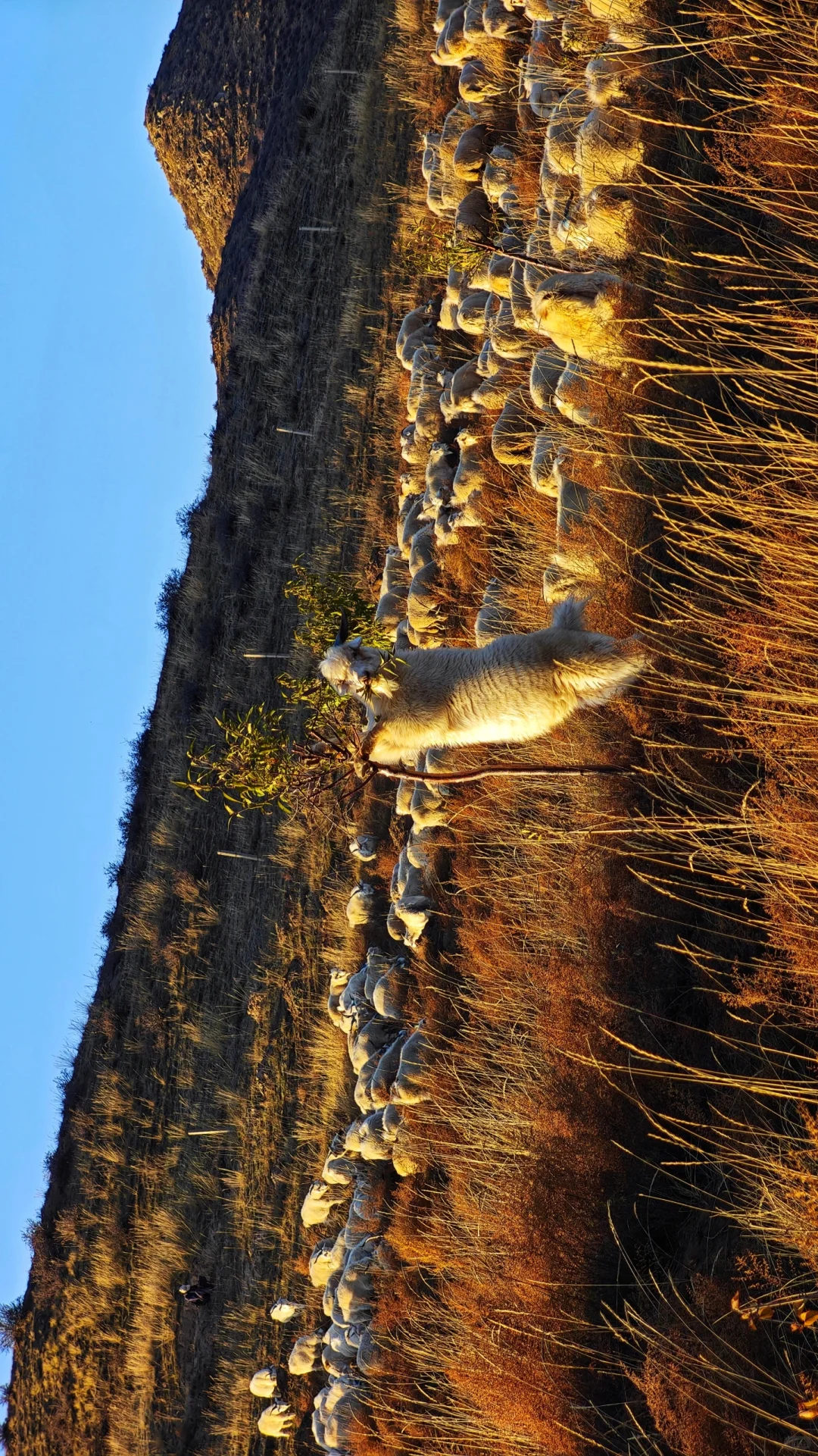 包头以及周边徒步赏秋推荐