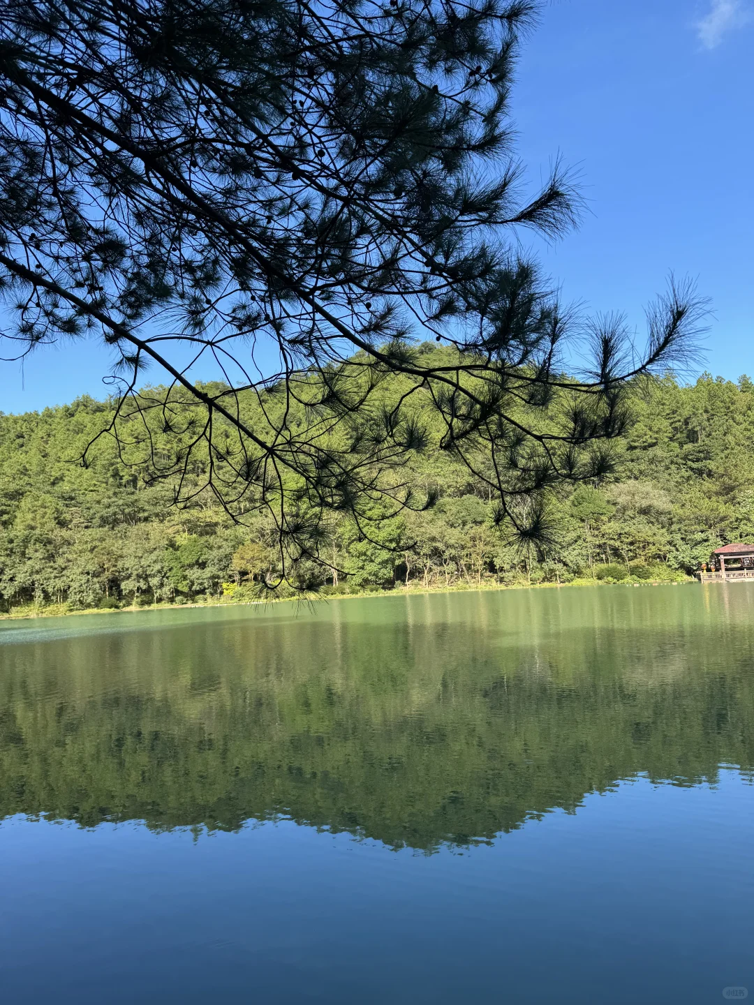 白江湖～