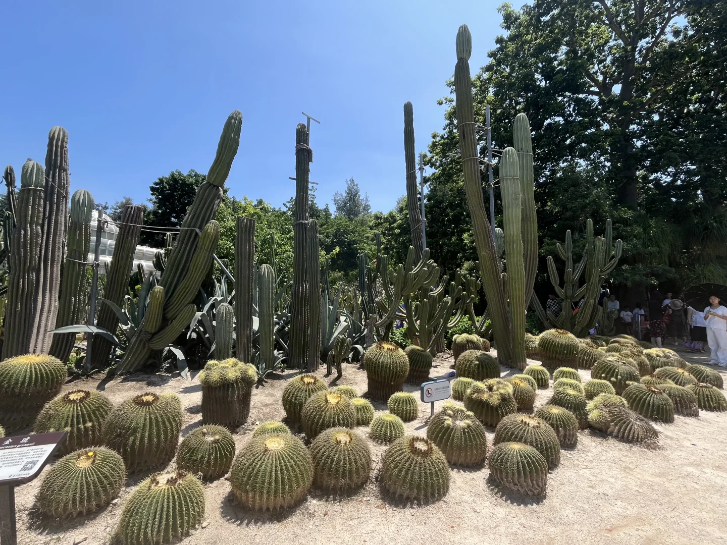 近期来厦门的朋友注意❗️景点锐评和踩雷经历
