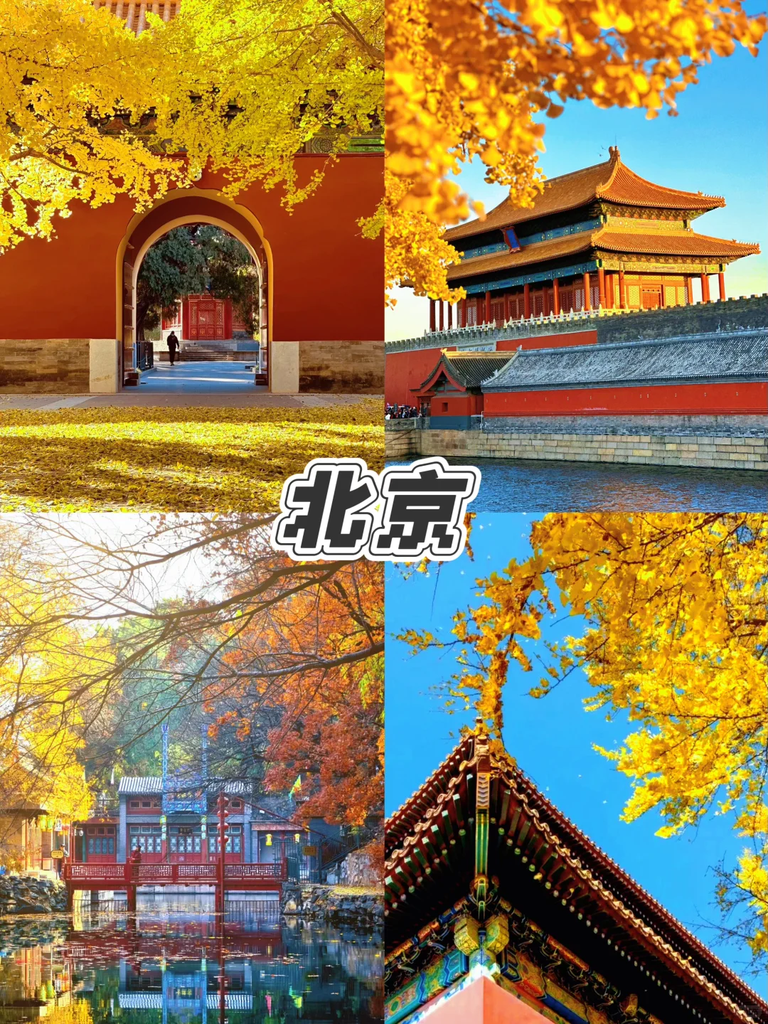 🍁9-12月必打卡城市，美到窒息，错过等一年！
