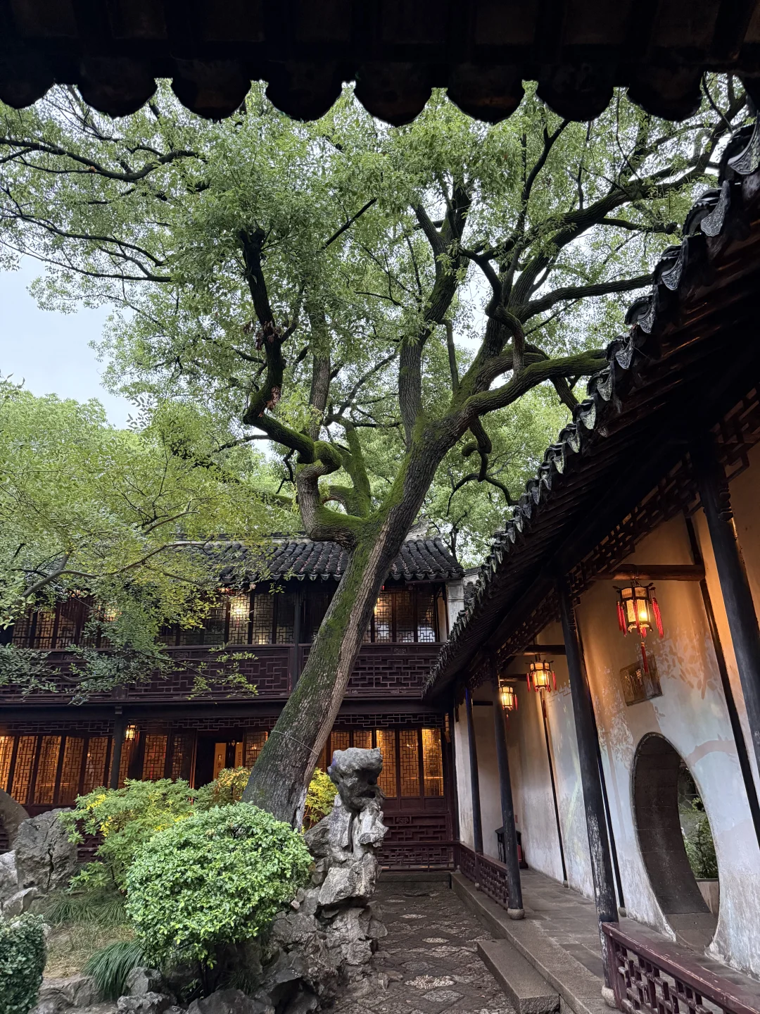 为了这1️⃣5️⃣张人生照‼️我特意去了趟苏州
