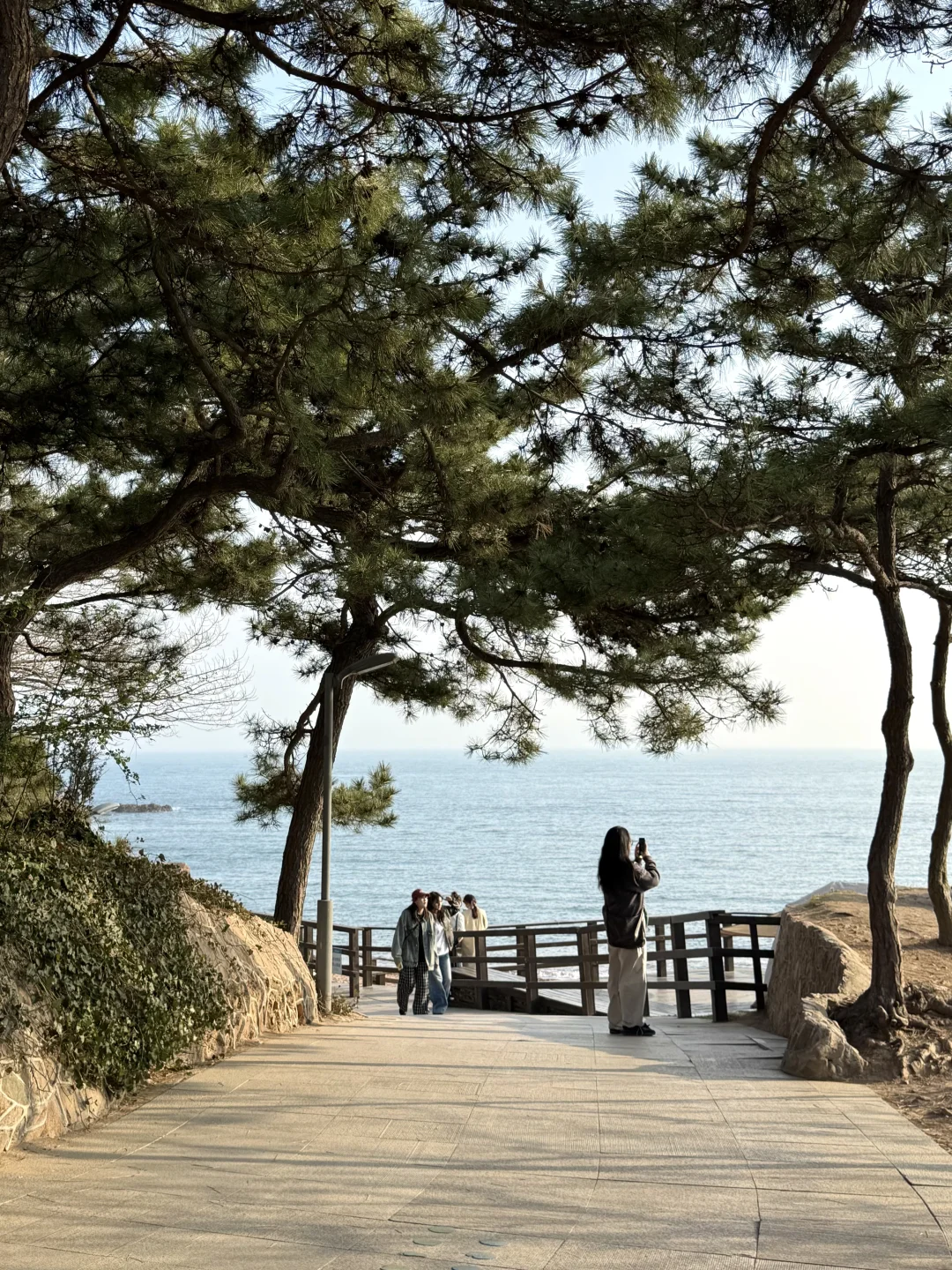 刚从青岛回来！！熬夜整理的三日旅游攻略…