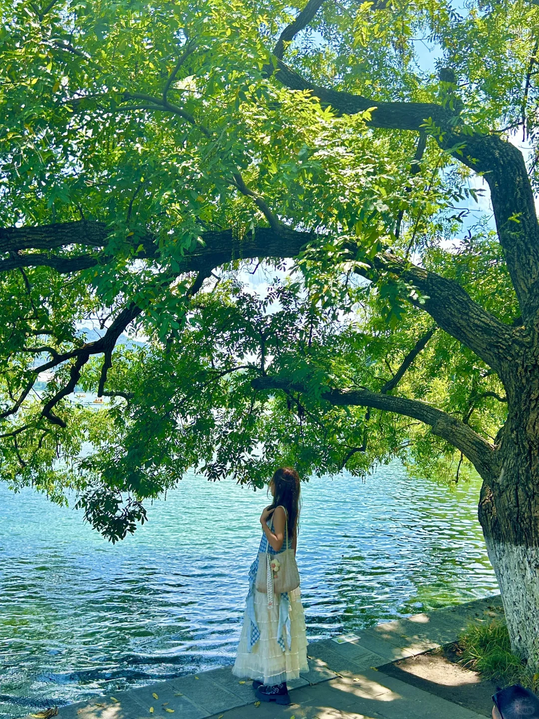 为了这18张live图📷来了趟南京……附具体位置