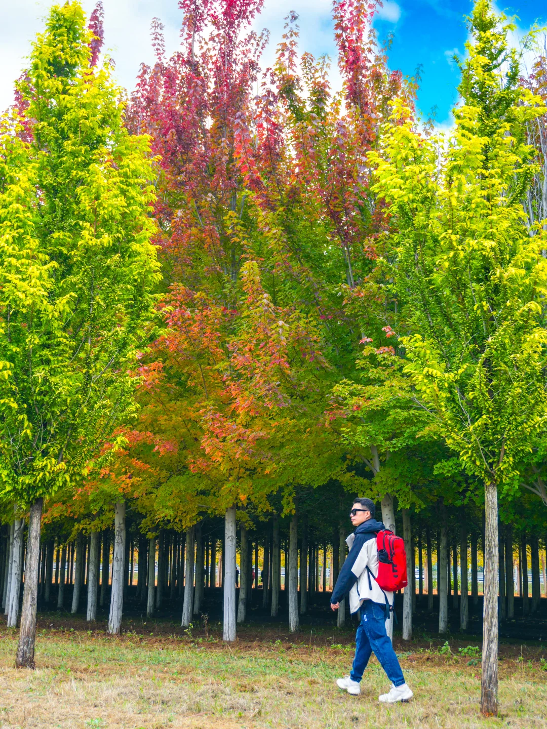 10.12实况，京郊2h🚗秋天必须去的宝藏秘境🍁