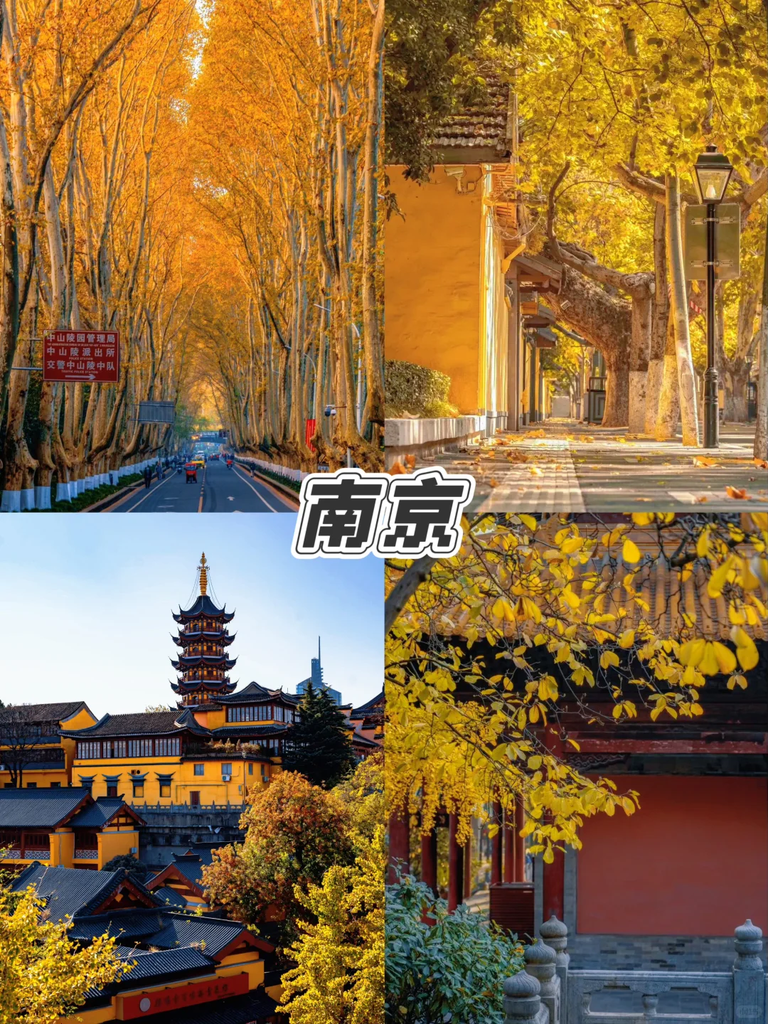 🍁9-12月必打卡城市，美到窒息，错过等一年！
