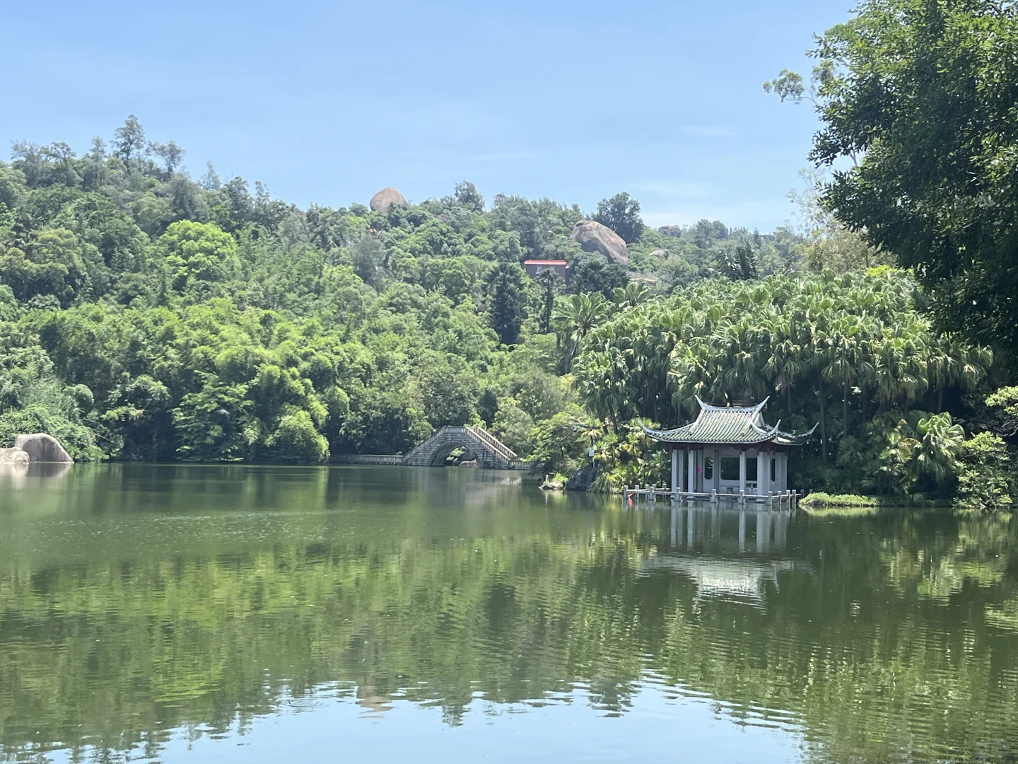 近期来厦门的朋友注意❗️景点锐评和踩雷经历
