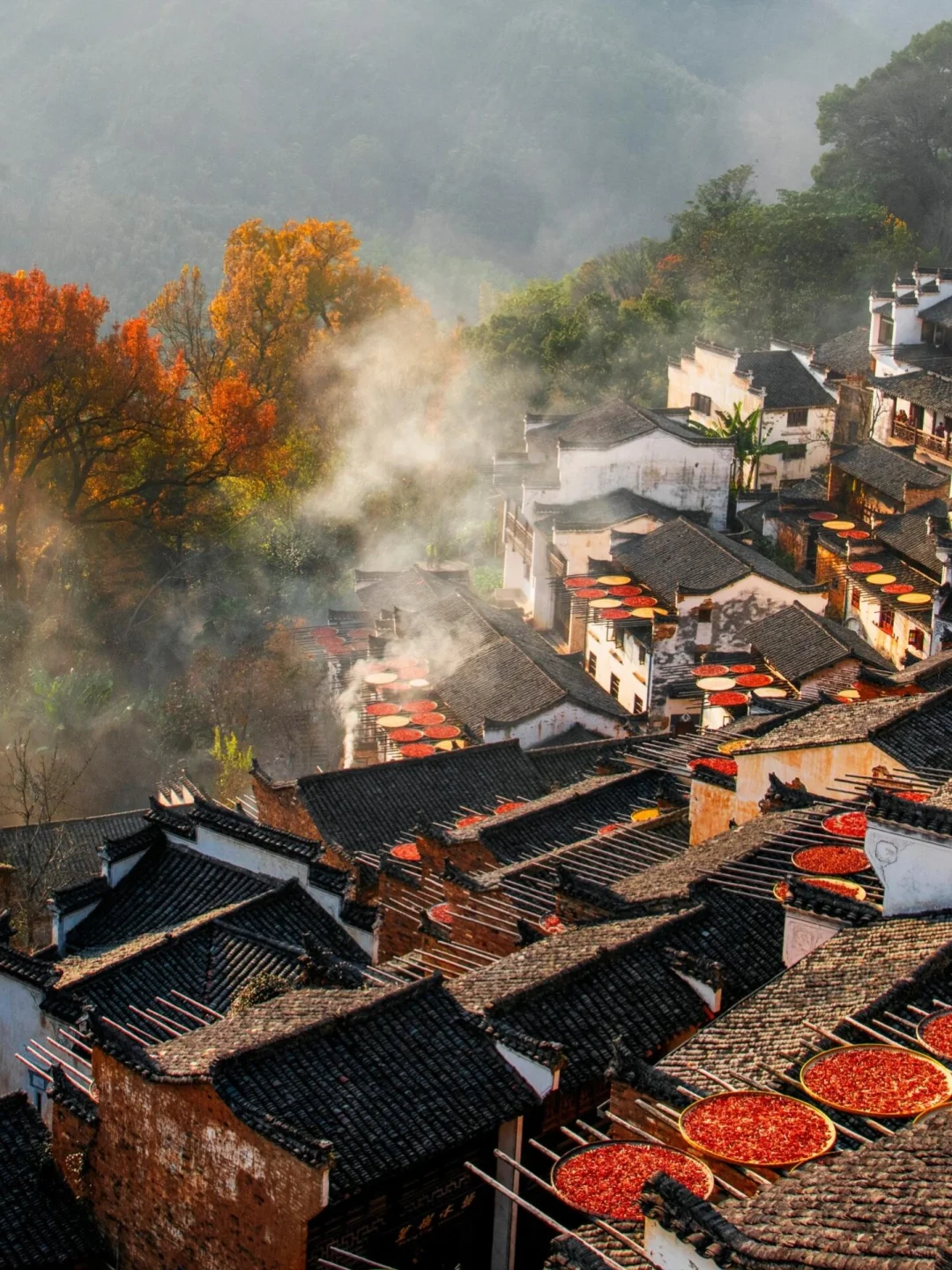 十一月的篁岭，堪称国内旅游的天花板❗️