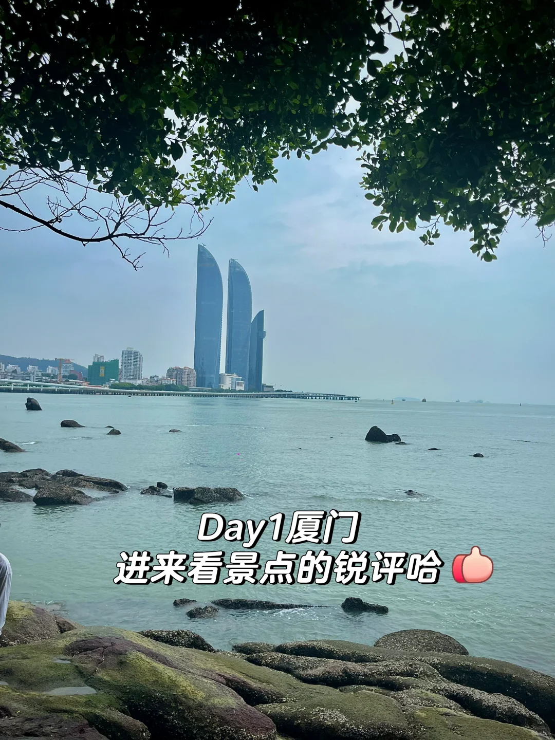 近期来厦门的朋友注意❗️景点锐评和踩雷经历